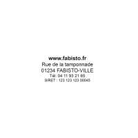 Empreinte Trodat Pocket 9413