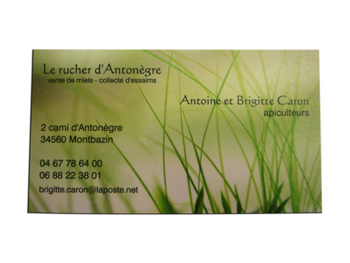Cartes de visites faites en ligne sur des gabarits standards - Rucher d'Antonegre